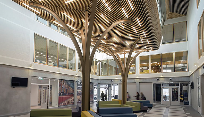 interior wood ceilings